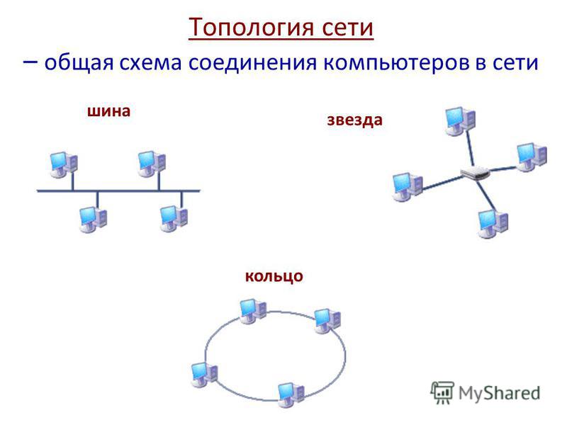 Топология сети общая шина