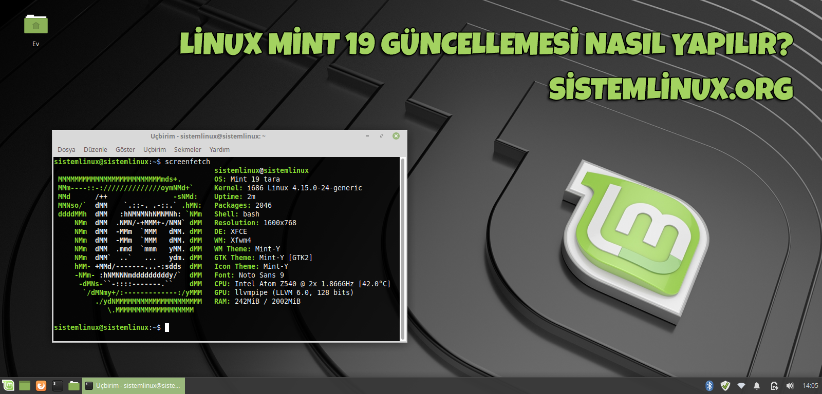 Версия linux команда. Linux Mint Tara. Linux Mint 19. Linux Mint 19 Tara. Linux Mint 19 uma.