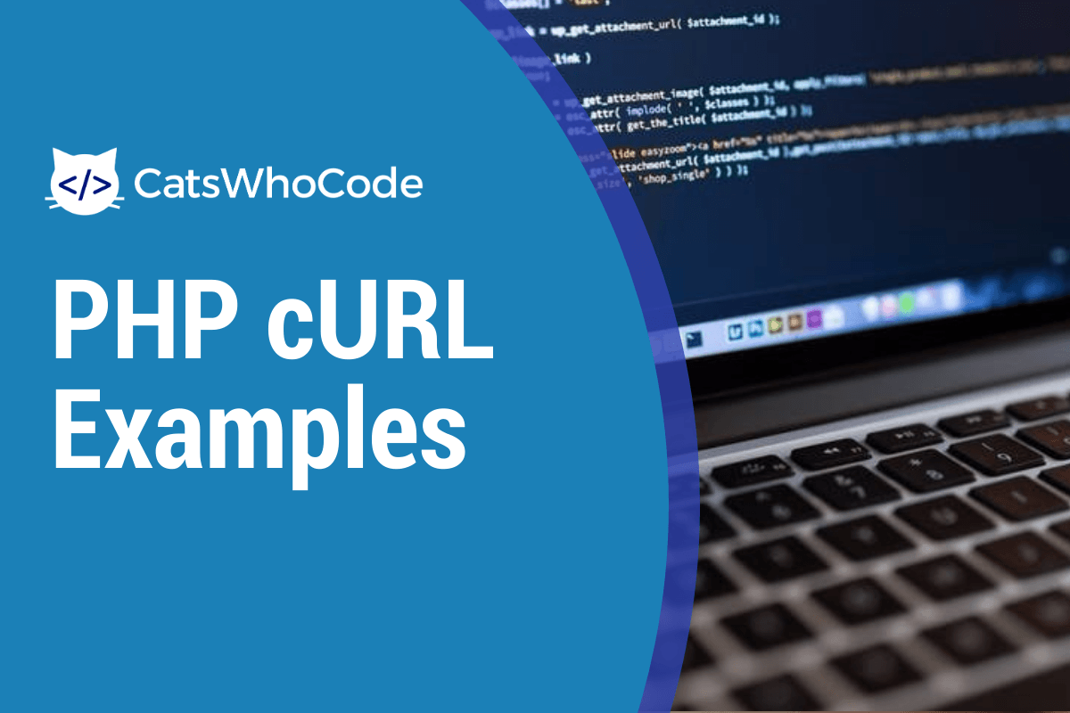 How to use cURL in PHP
