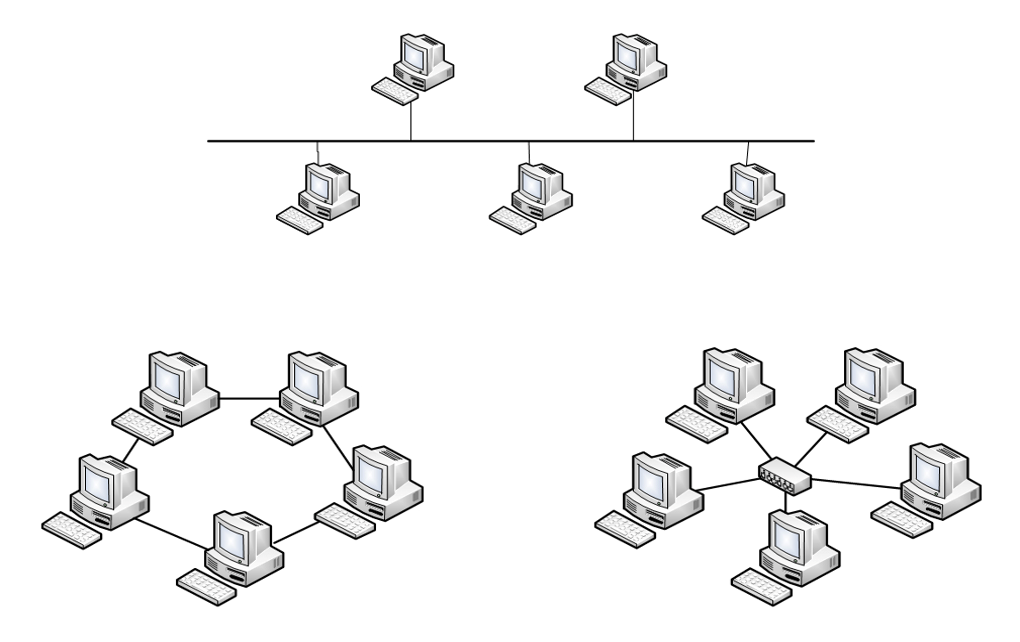 Одноранговая локальная сеть с топологией линейная шина