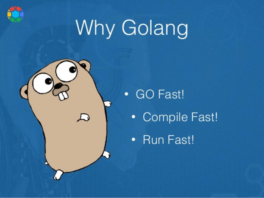 Golang для чайников. Go язык программирования. Язык golang. Golang язык программирования. Язык go (golang).