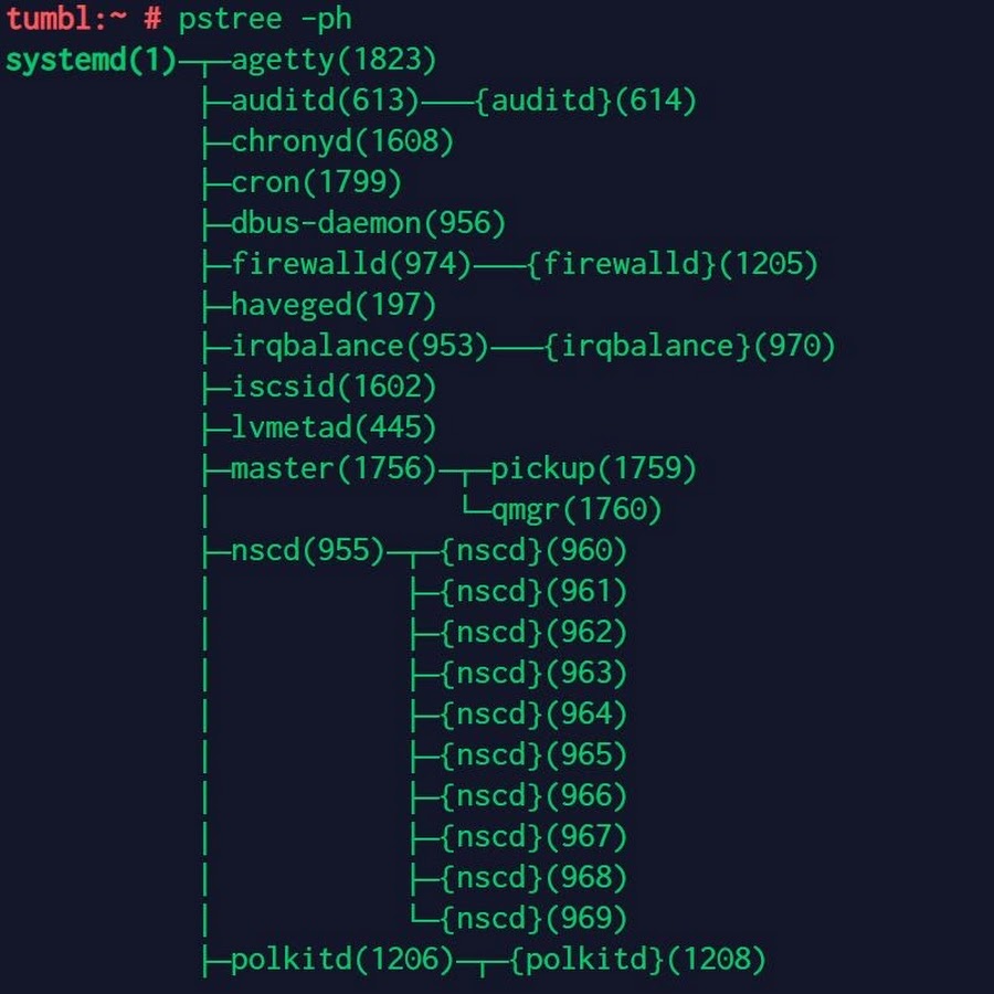 Linux auditd. Команда pstree. Команда pstree отображает. Pstree.